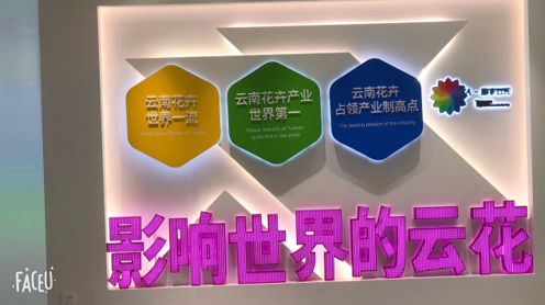 &#31859;&#20848;